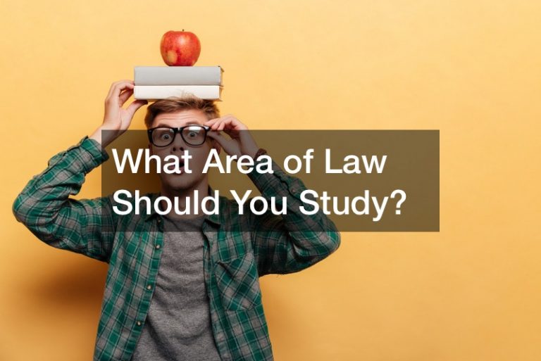 What Area Of Law Should You Study Law School Application