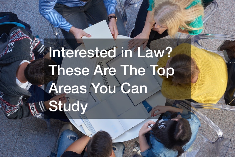 Interested in Law? These Are The Top Areas You Can Study