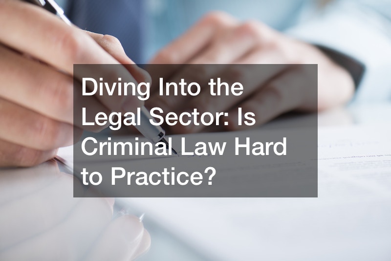 Diving Into the Legal Sector  Is Criminal Law Hard to Practice?