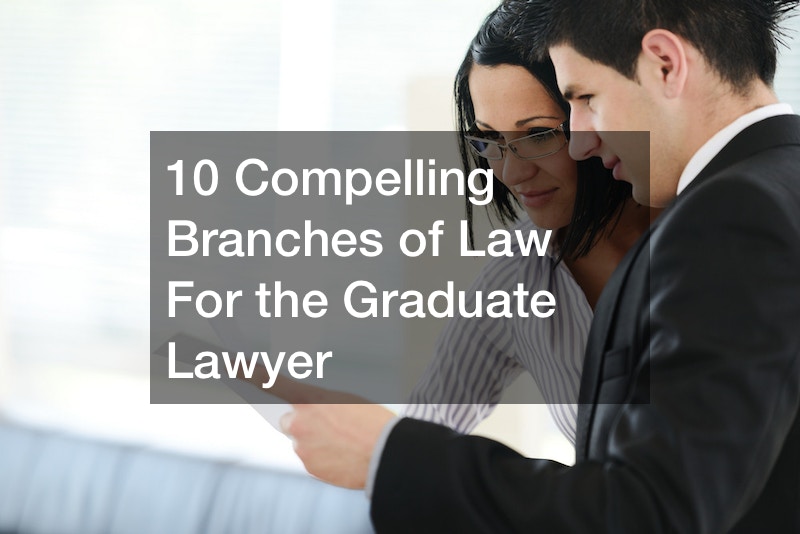 10 Compelling Branches of Law For the Graduate Lawyer